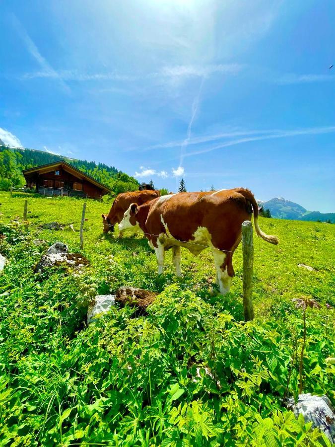 Charmant Chalet Mit See Und Bergsicht Hofstetten bei Brienz Exterior photo